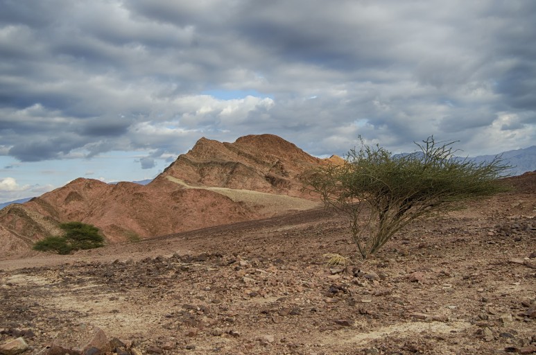 negev-desert-g6298e2c7c_1920.jpg